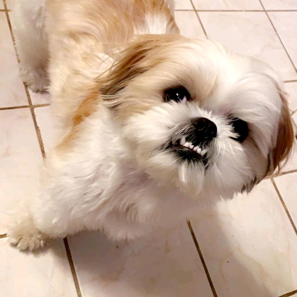 Meet your Posher, Vanessa